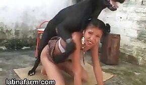 sexo de cachorro,animal fode garota
