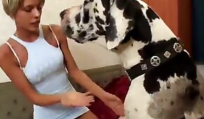 vídeos pornográficos de animais