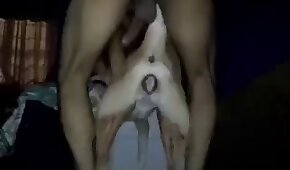 boquiaberto,bestialidade pornô